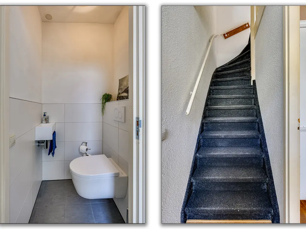 Molendijk 102, NIEUWE-TONGE
