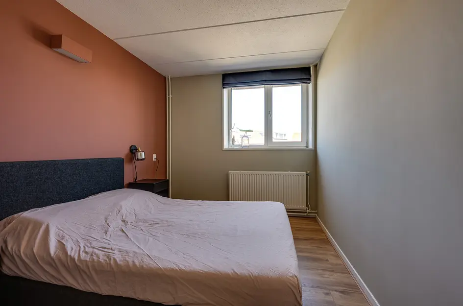 Zonhof 3
