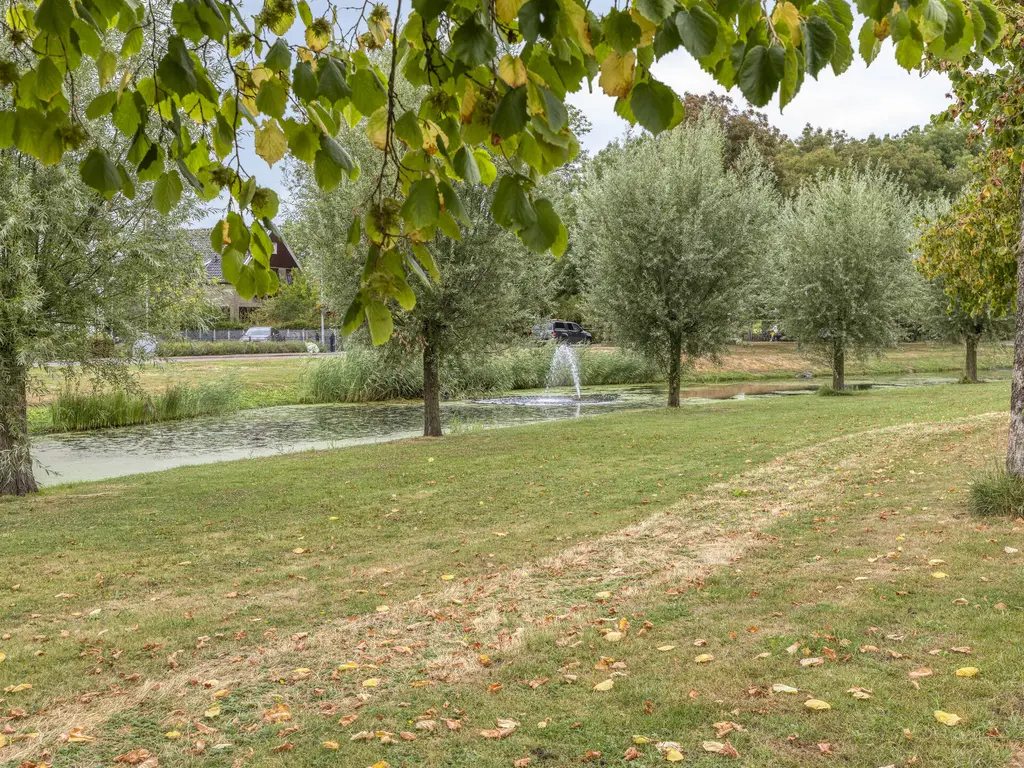 Grijsoord 16, OUDE-TONGE