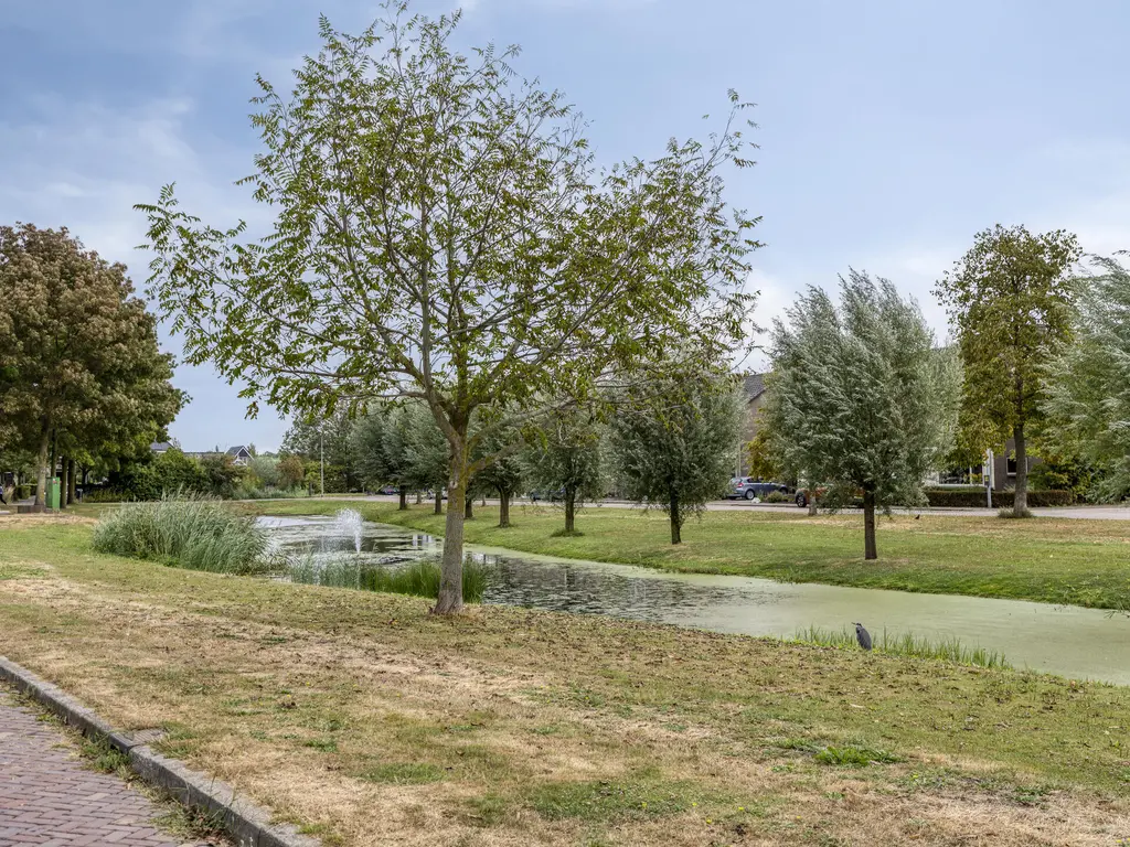 Grijsoord 16, OUDE-TONGE
