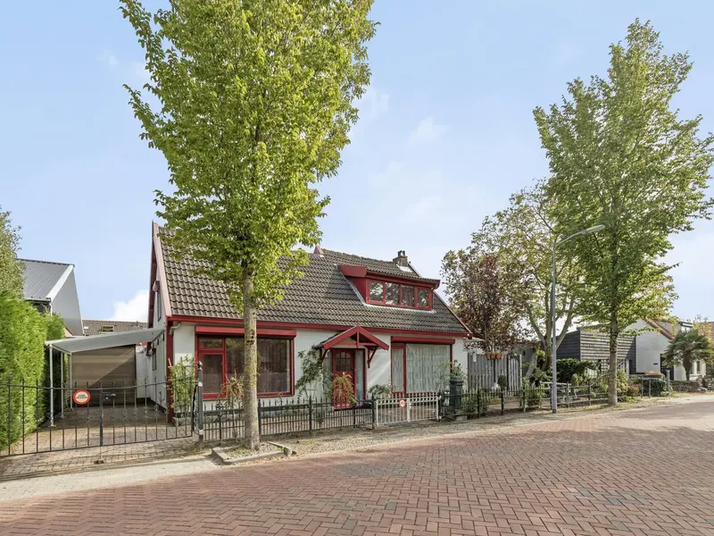 Ds. Wentinkstraat 6, NIEUWE-TONGE