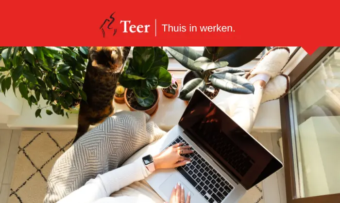 Werken op afstand