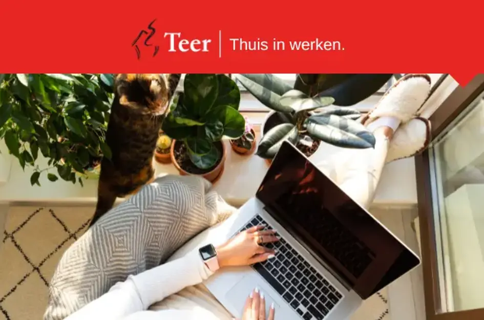 Werken op afstand