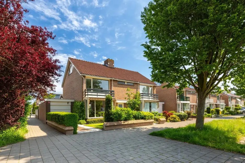 Populierenlaan in Uitgeest