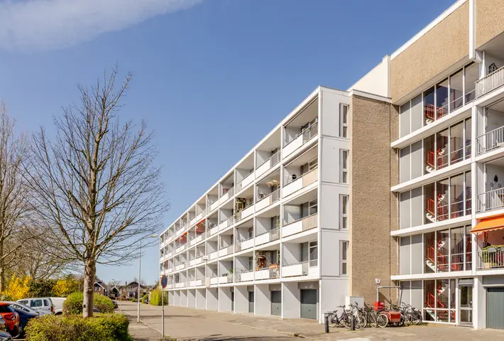 aankoopmakelaar Castricum