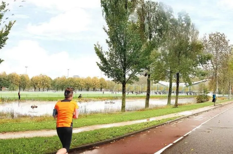 Wijkerhoek