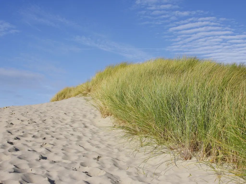 Zanderij-Zuid, Castricum