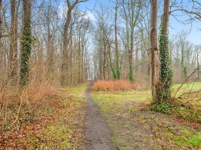 Oude Parklaan 4a, CASTRICUM