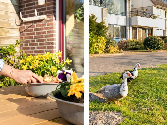 De Sonneveld 3, HEILOO