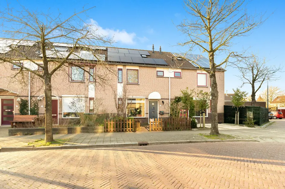 De Sonneveld 3