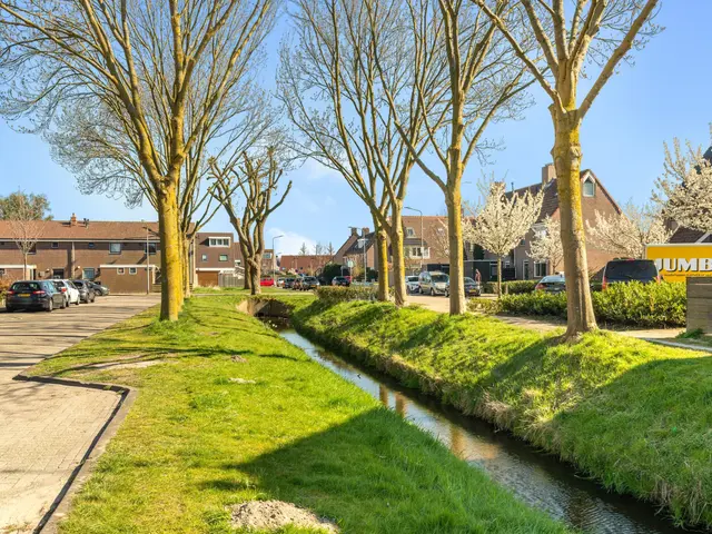 Dotterbloem 2, UITGEEST