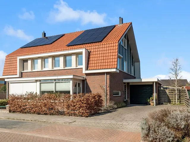 Advocaatpeer 3, WINKEL