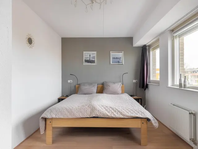 Advocaatpeer 3, WINKEL