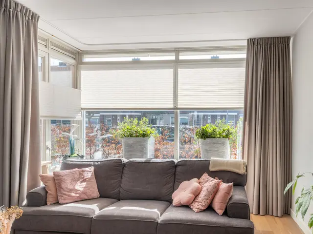 Advocaatpeer 3, WINKEL