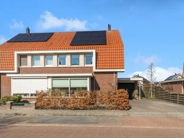 Advocaatpeer 3, WINKEL