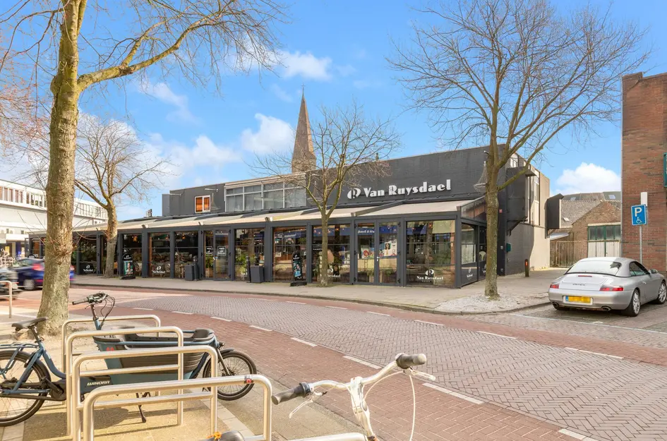 Ruysdaelstraat 59