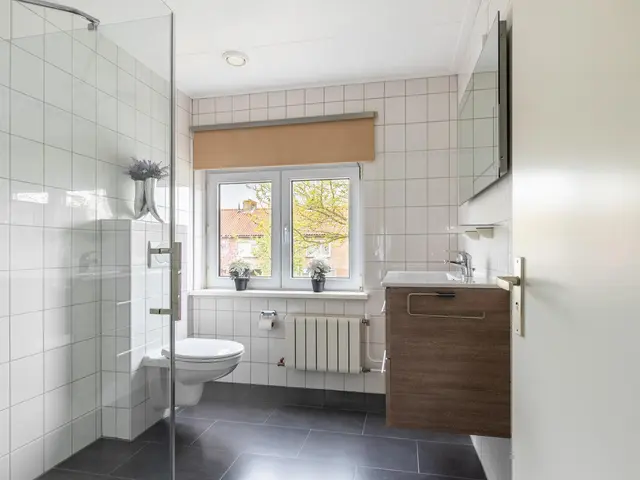De Terp 5, UITGEEST