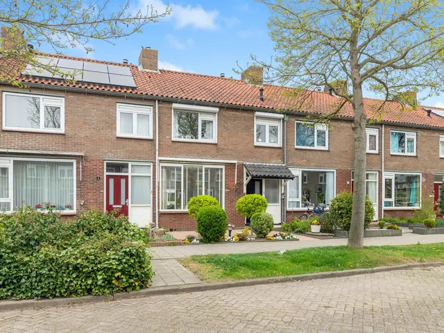 De Terp 5, UITGEEST