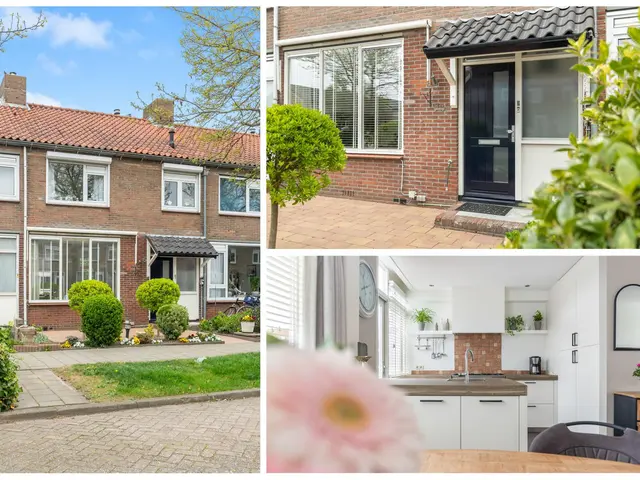 De Terp 5, UITGEEST