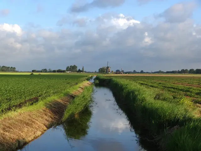 Bouwnummer 12 , OBDAM