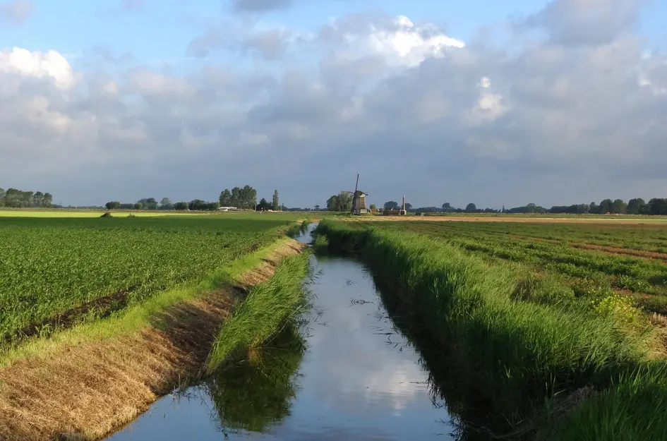 Bouwnummer 4 