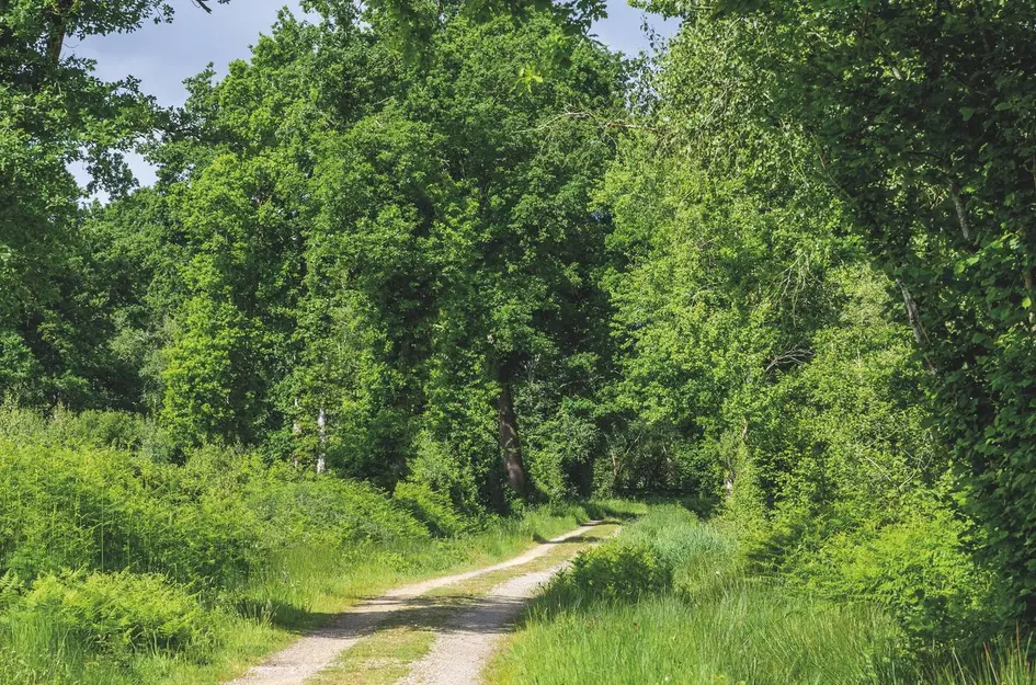 Twee-onder-één-kapwoning - Egelantier, bouwnummer 29 