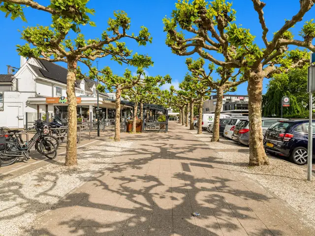 Maerten van Heemskerckstraat 13B, HEEMSKERK