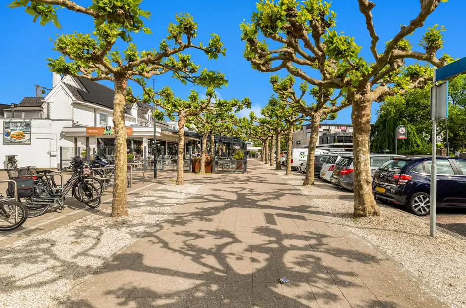 Maerten van Heemskerckstraat 13B
