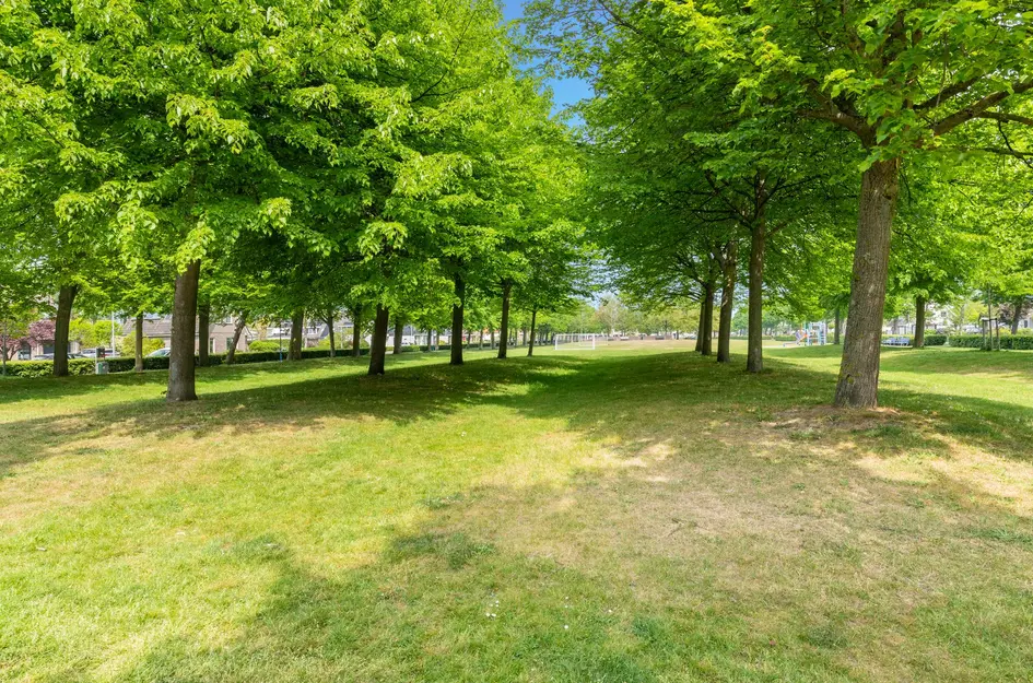 Hogeweg 17