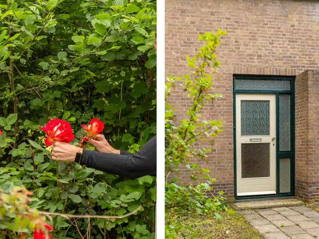 Hoogeweg 25, HEILOO