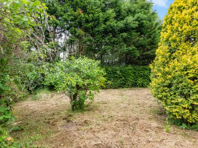 Hoogeweg 25, HEILOO