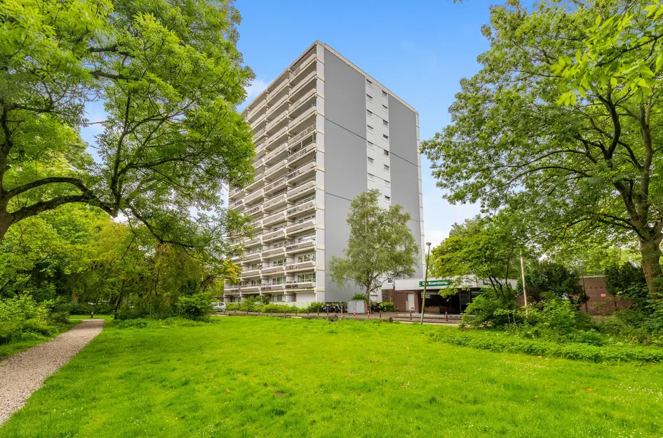 De Roerdomp 157