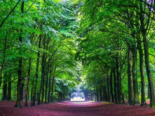 Perceel Hoogeweg , HEILOO