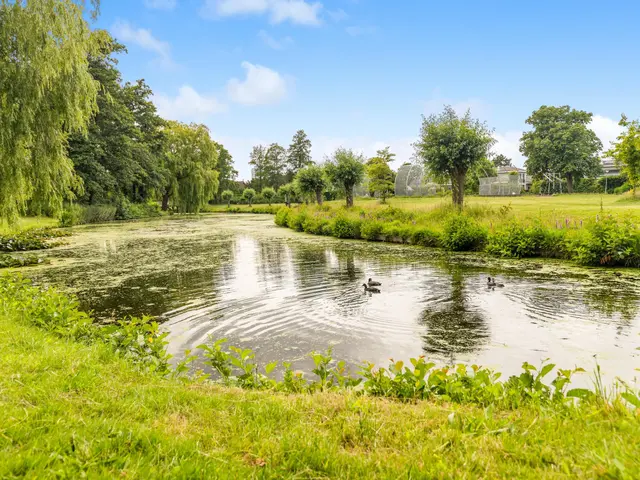 Doornenburg 42, HEEMSKERK