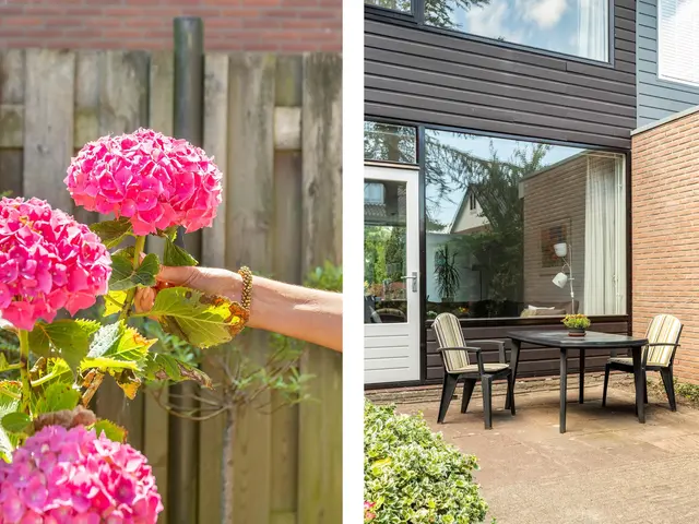 Paltrokstraat 11, UITGEEST