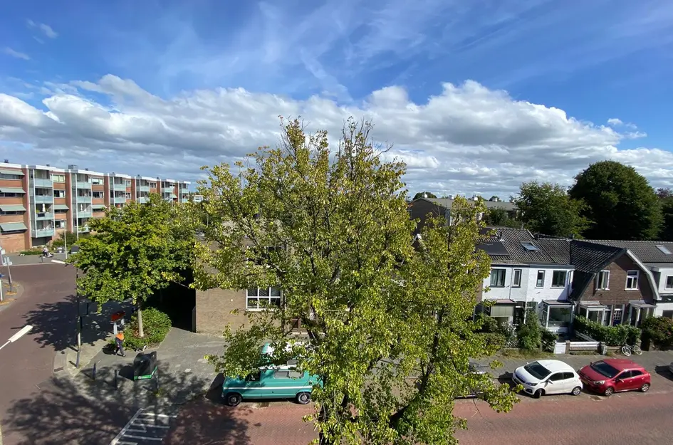Blekersveld 22