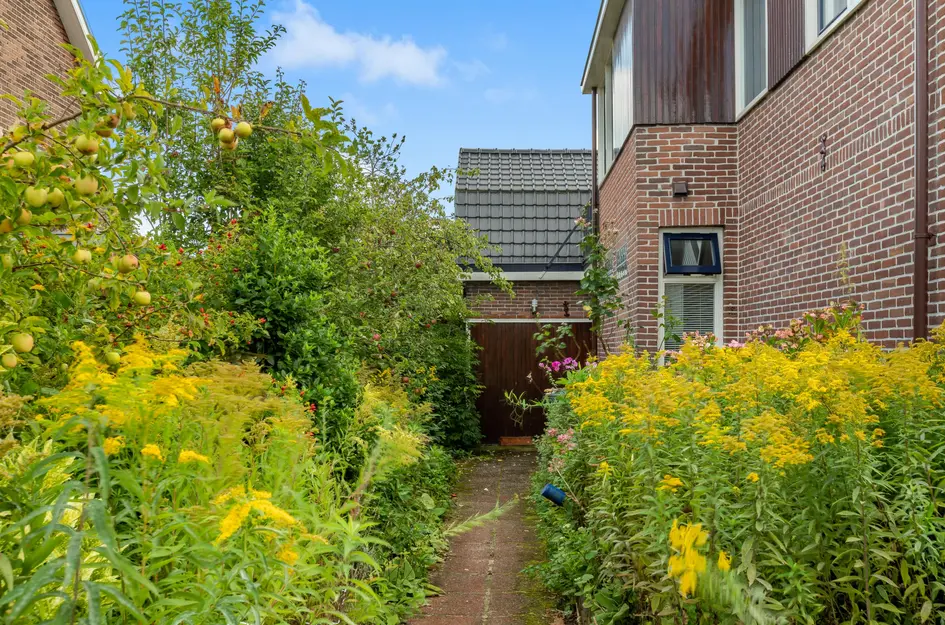 Geelvinckstraat 33