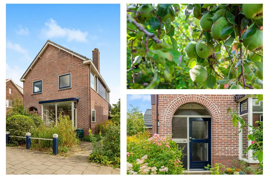 Geelvinckstraat 33