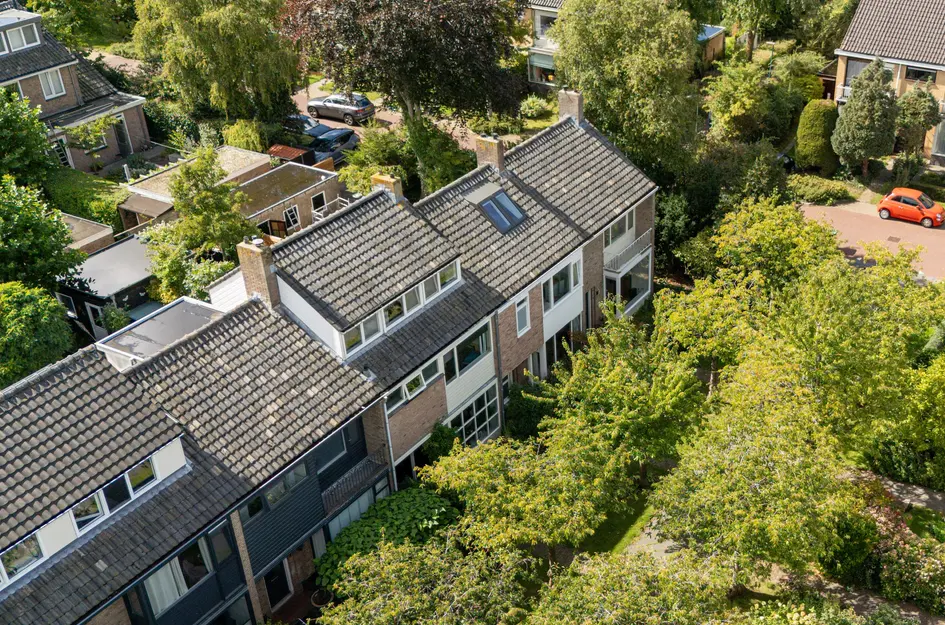Pauwweijdt 3