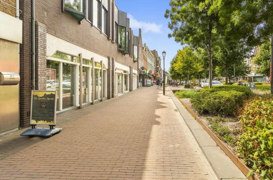 Breestraat 87