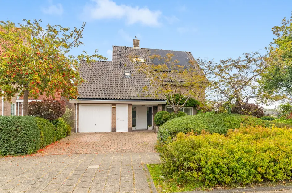 De Witte Hoofden 5