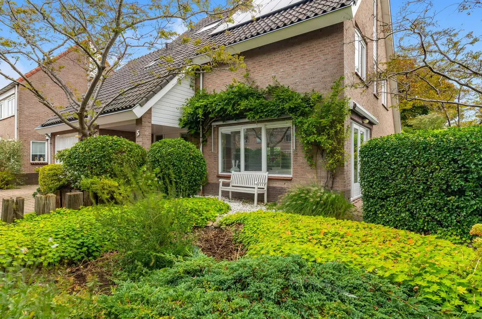 De Witte Hoofden 5