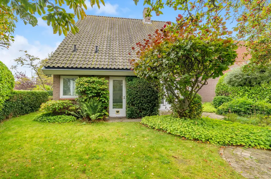 De Witte Hoofden 5