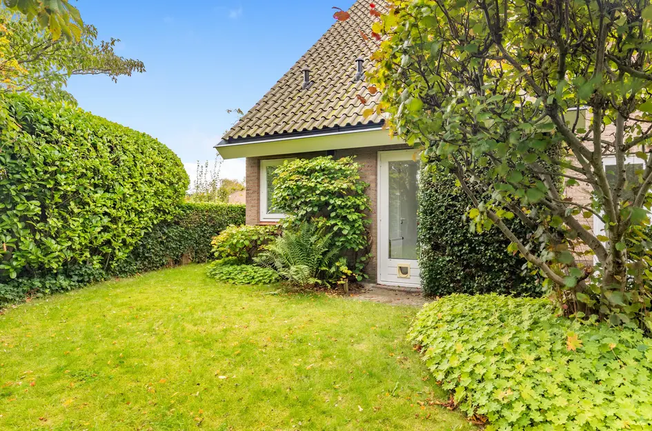 De Witte Hoofden 5