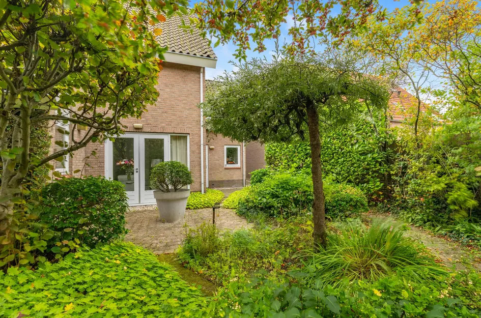 De Witte Hoofden 5