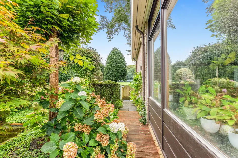 De Nieuwe Plantagie 6