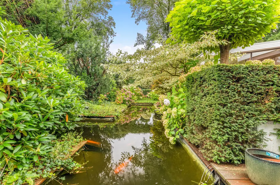 De Nieuwe Plantagie 6
