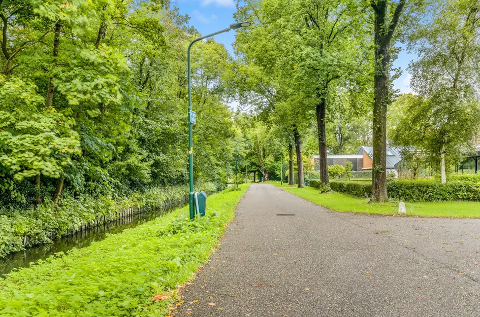 De Nieuwe Plantagie 6