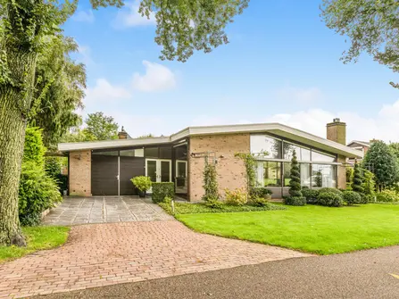 De Nieuwe Plantagie 6