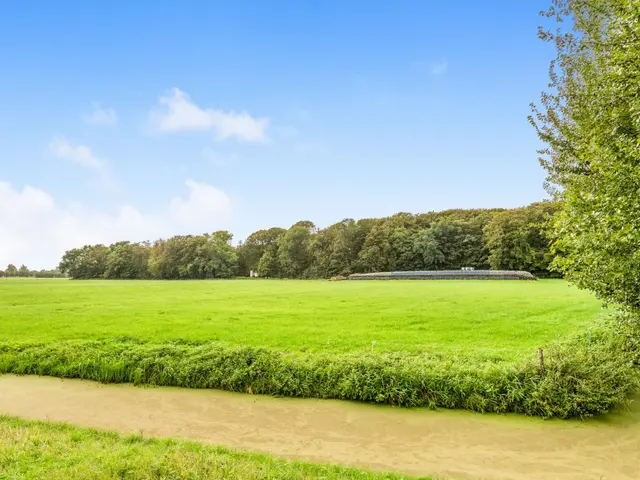 De Nieuwe Plantagie 6, HEILOO
